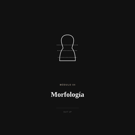 Morfología | Suit Up