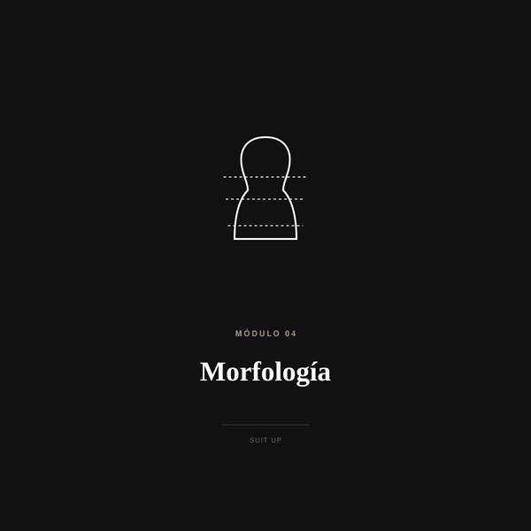 Morfología | Suit Up